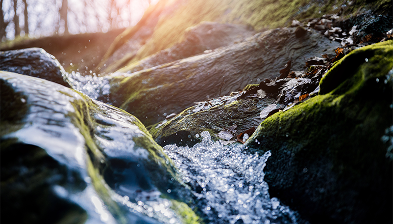 A stream of water flowing over mossy rocks. 